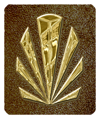 DF35-602-GD-SH-BR Gold Sunburst Shimmer Brown